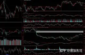 关于刚刚！转折点丹佛掘金强势反弹印第安纳步行者赛后强势反弹，罗马止住颓势备战意大利杯的信息